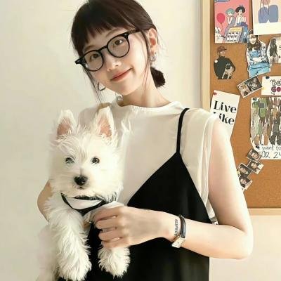 蒙巴纳斯